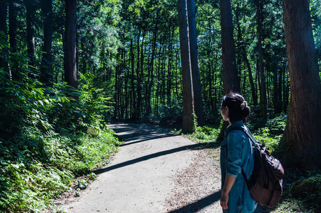 乳がん闘病記 001.告知