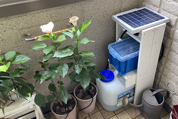 自動灌水システムを最終的に自分で構築した話。