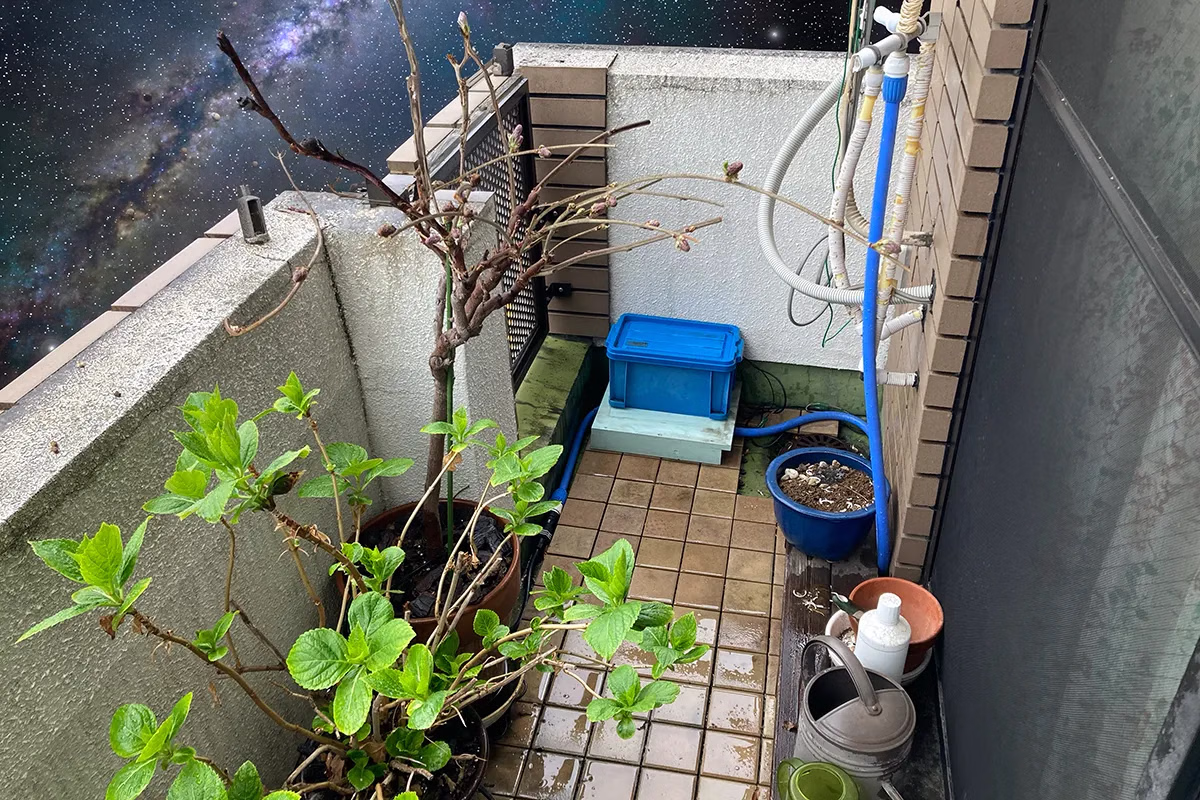 自動灌水システム